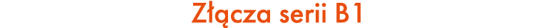 Z cza serii B1